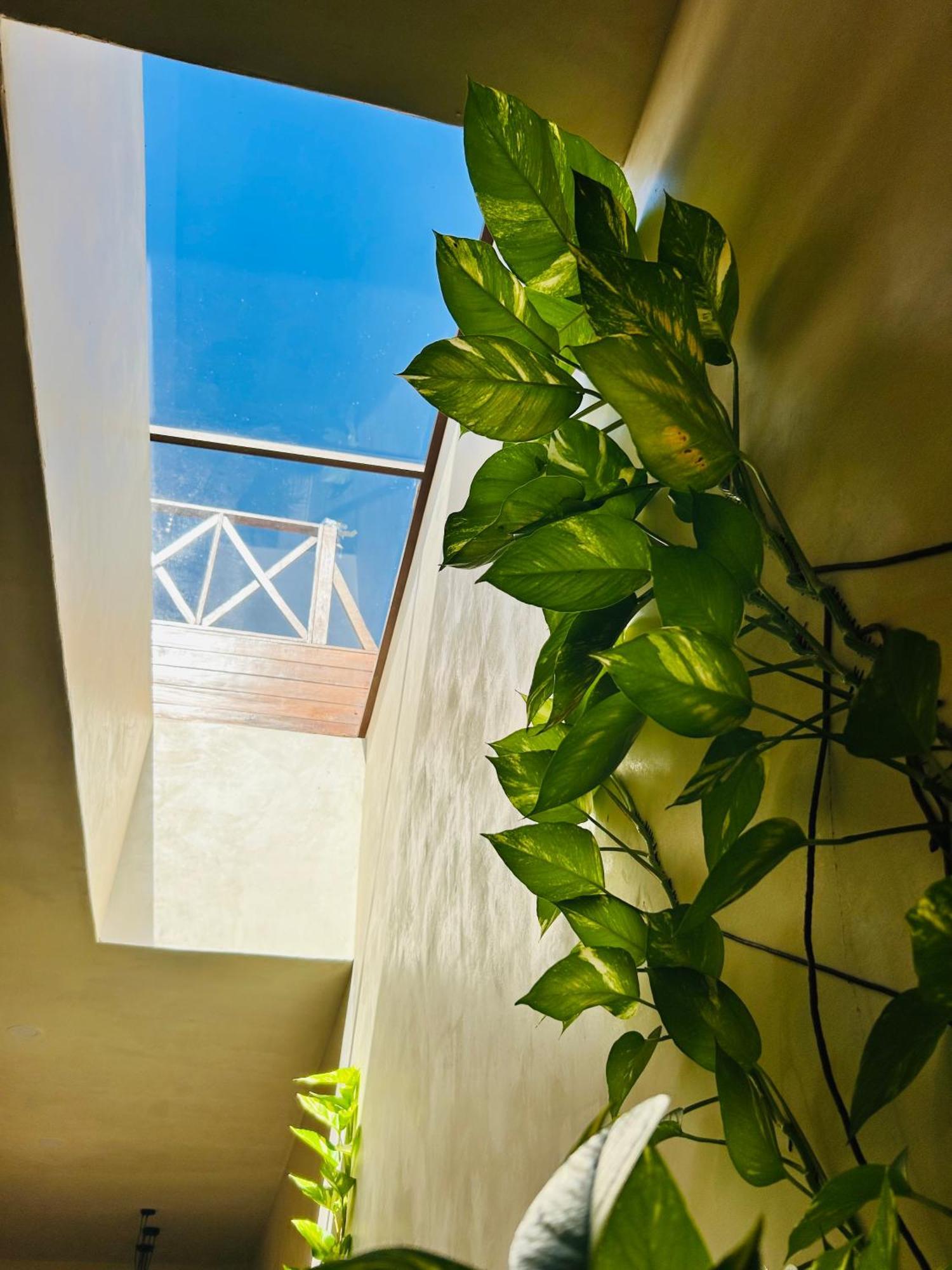 Sunsteps Casa Holbox Appartement Buitenkant foto